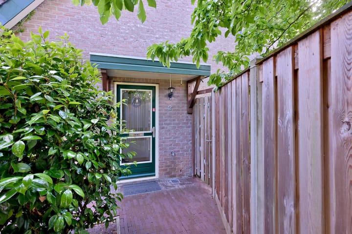 Foto 2 van Teunisbloem 2