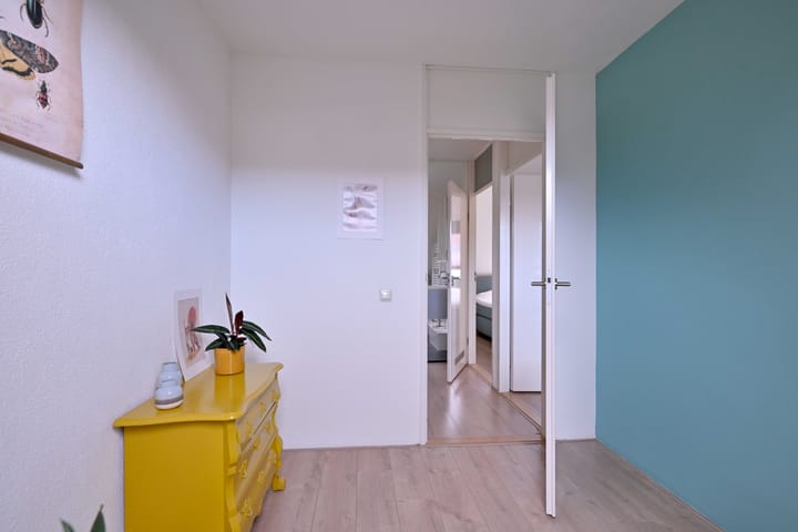 Foto 13 van Teunisbloem 2