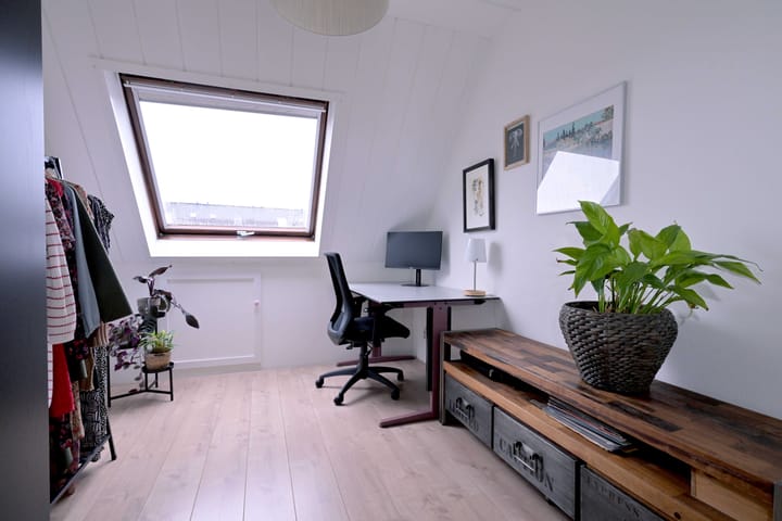 Foto 16 van Teunisbloem 2