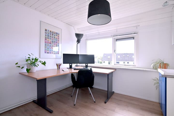 Foto 24 van Teunisbloem 2