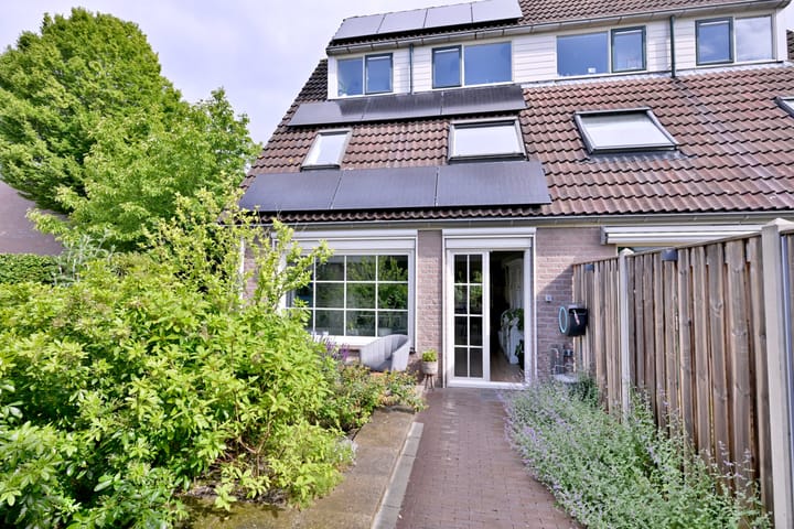 Foto 28 van Teunisbloem 2