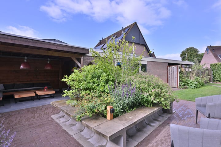 Foto 30 van Teunisbloem 2