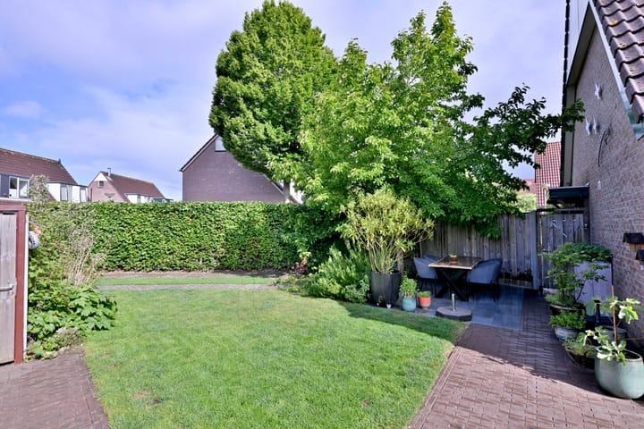 Foto 33 van Teunisbloem 2