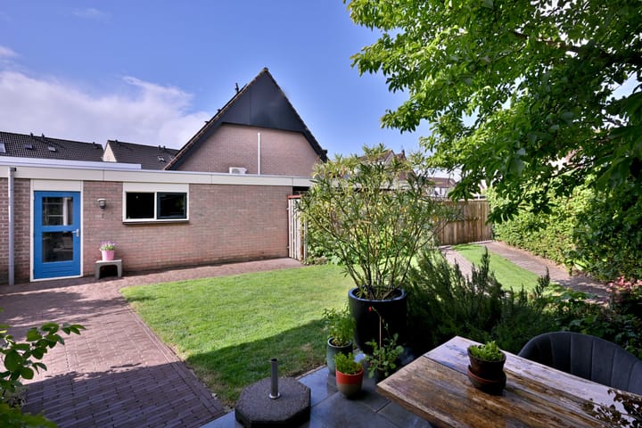 Foto 35 van Teunisbloem 2