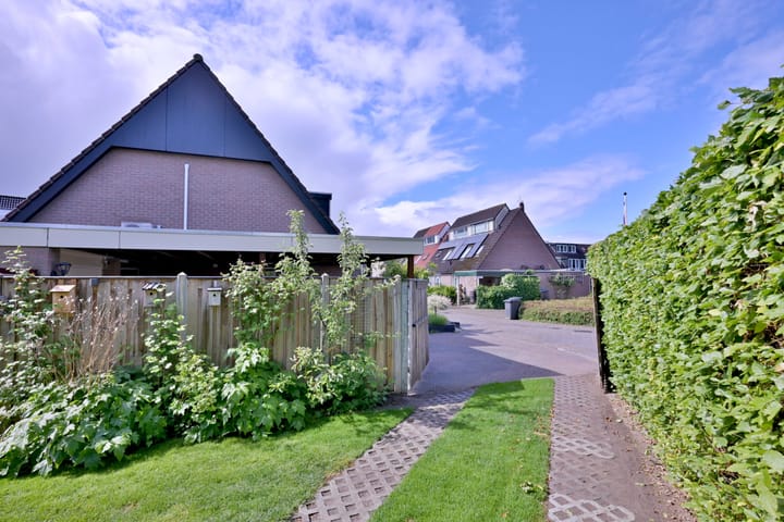 Foto 37 van Teunisbloem 2