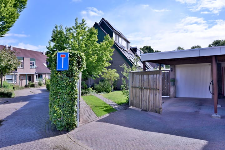 Foto 38 van Teunisbloem 2