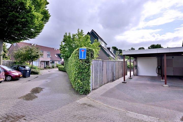 Foto 39 van Teunisbloem 2