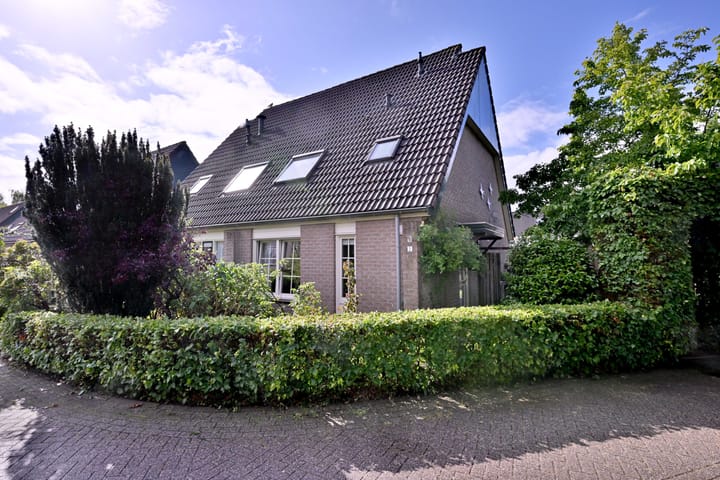 Foto 40 van Teunisbloem 2