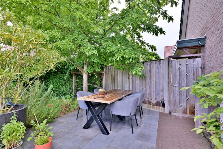 Foto 34 van Teunisbloem 2