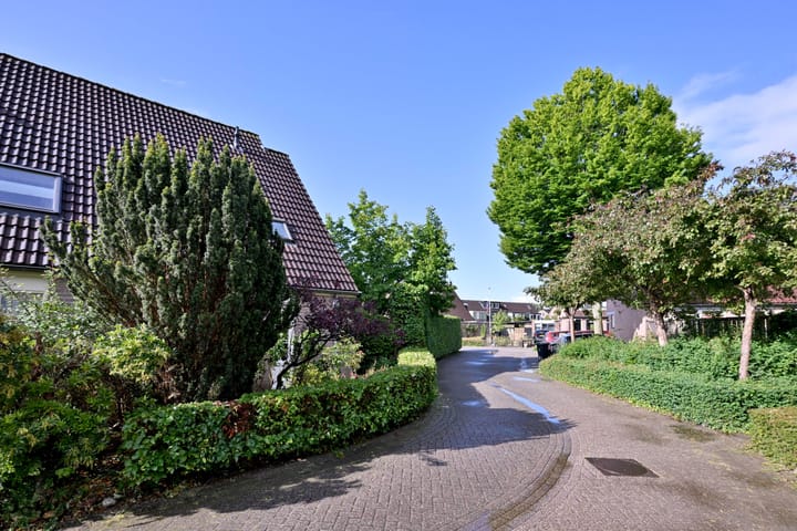 Foto 41 van Teunisbloem 2