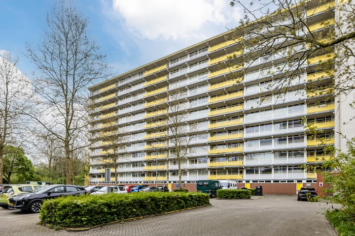 Foto 3 van Smetanalaan 224