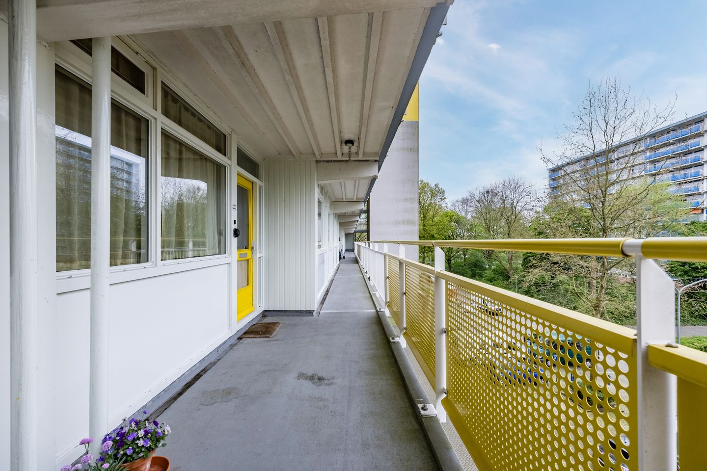 Foto 10 van Smetanalaan 224