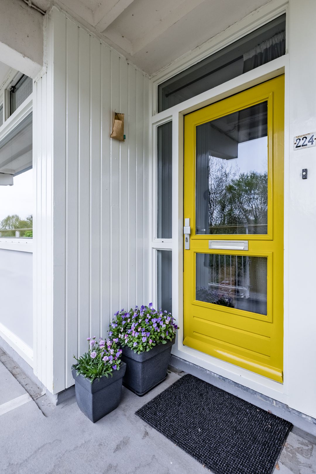 Foto 13 van Smetanalaan 224