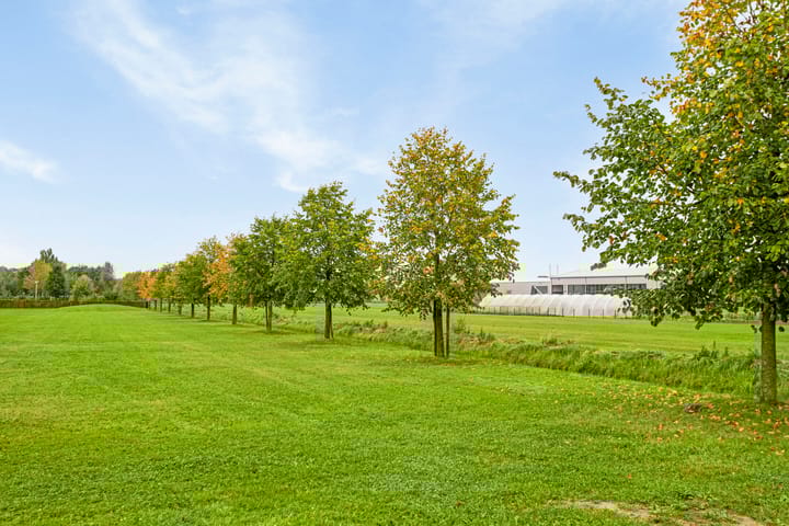 Foto 34 van Oude Weidestraat 12