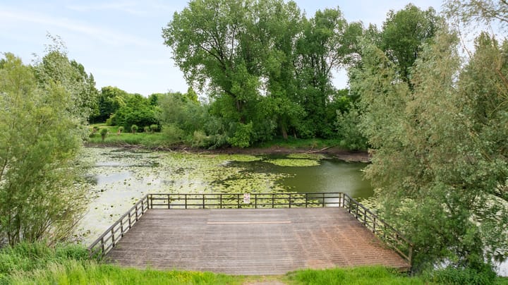 Foto 11 van Corso 29