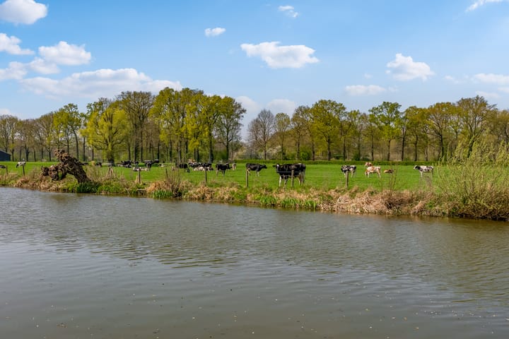 Foto 66 van Lokhorstlaan 2