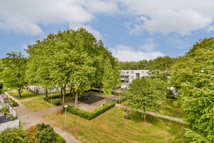 Foto 10 van Daniël Defoelaan 271