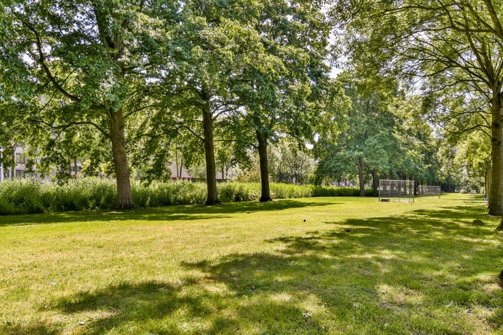 Foto 19 van Daniël Defoelaan 271