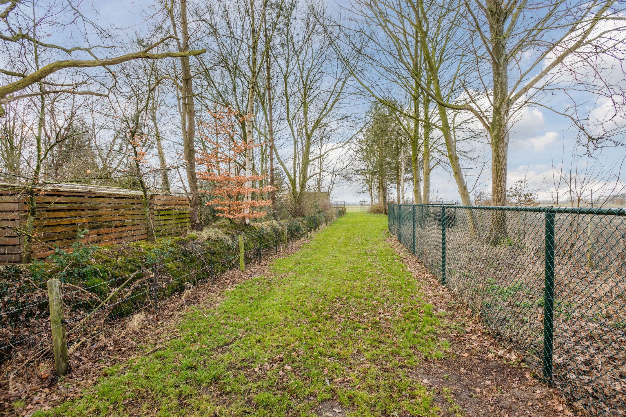 Photo 99 of Oosteinde 14