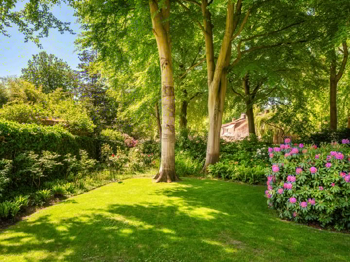 Photo 88 of Meerwijklaan 1