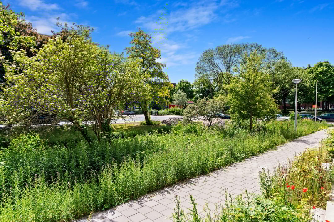 Foto 22 van Middachtenweg 216-C