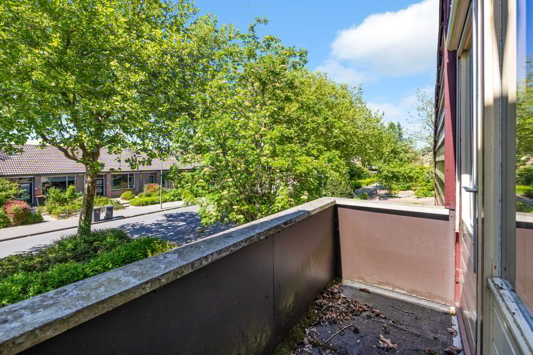 Foto 31 van De Dars 2