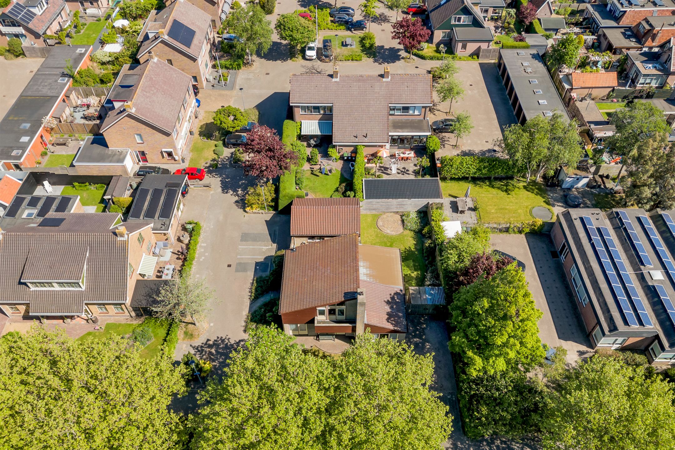 Foto 45 van De Dars 2