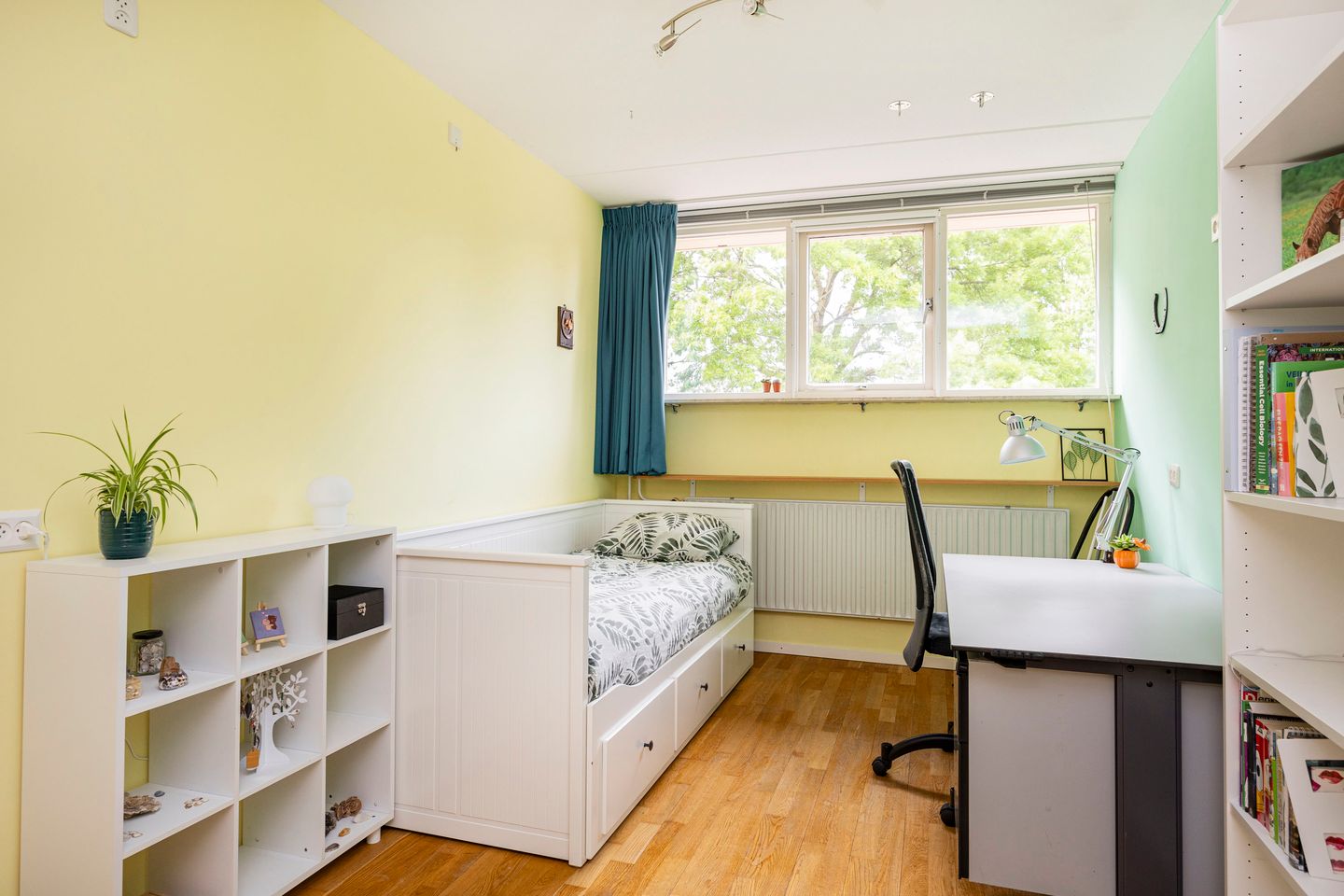 Foto 20 van Lou Bandystraat 21