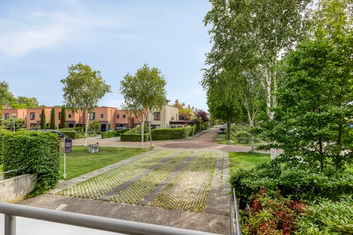 Foto 24 van Virgo 71