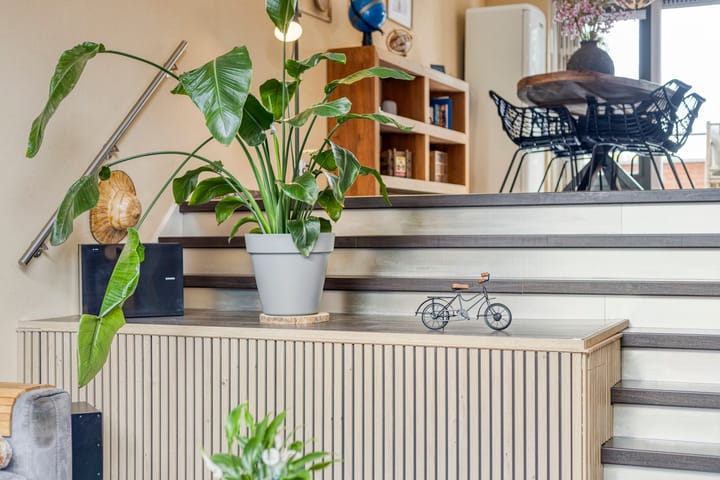 Foto 27 van Virgo 71