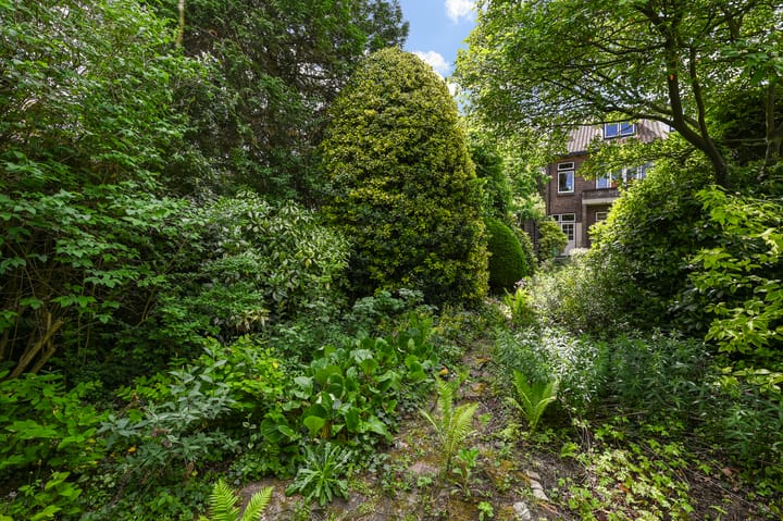 Foto 23 van Damsigtstraat 2