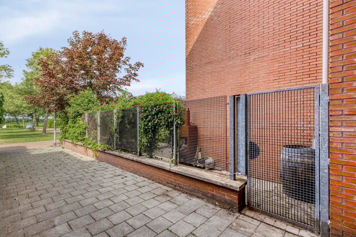 Foto 49 van Virgo 71