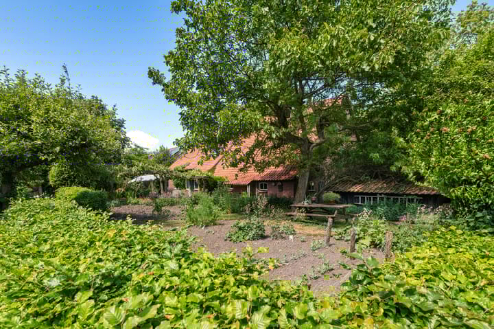 Foto 52 van Den Borgweg 10