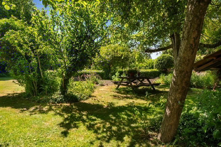 Foto 55 van Den Borgweg 10