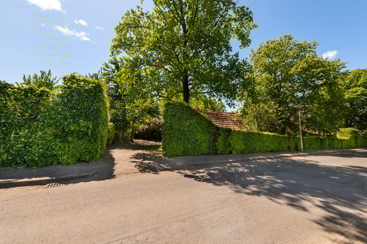 Foto 56 van Den Borgweg 10