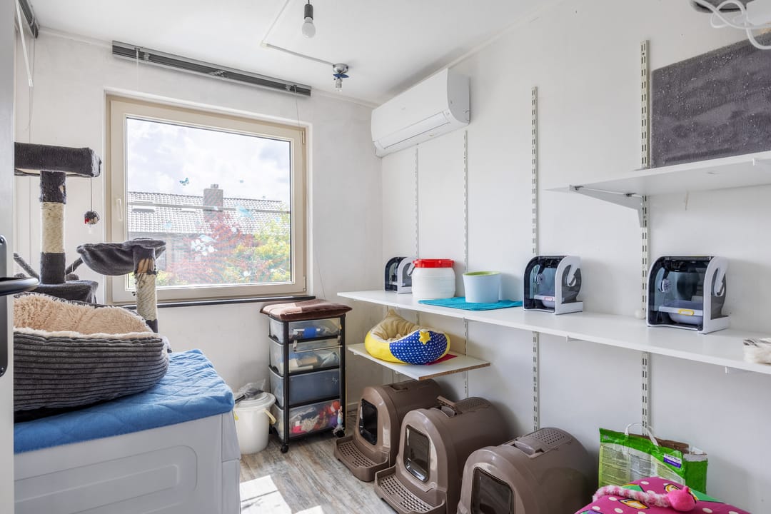 Foto 28 van Zetter 4