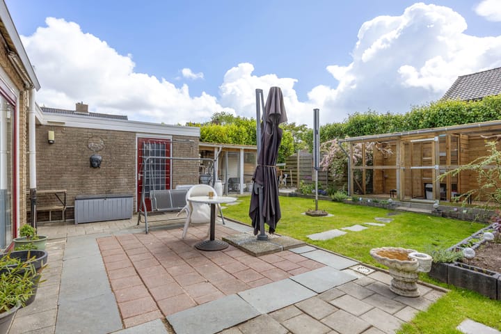 Foto 37 van Zetter 4