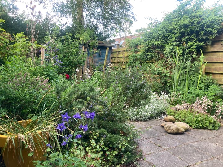 Foto 15 van Bunnemaheerd 49