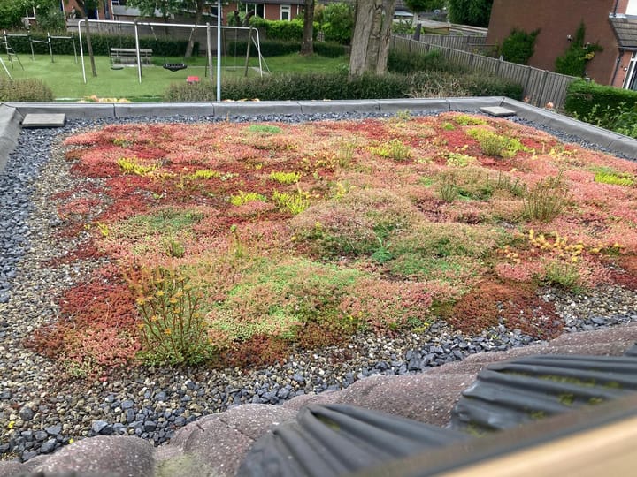 Foto 35 van Bunnemaheerd 49