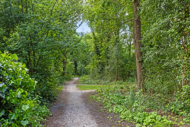 Foto 46 van Dilakker 22