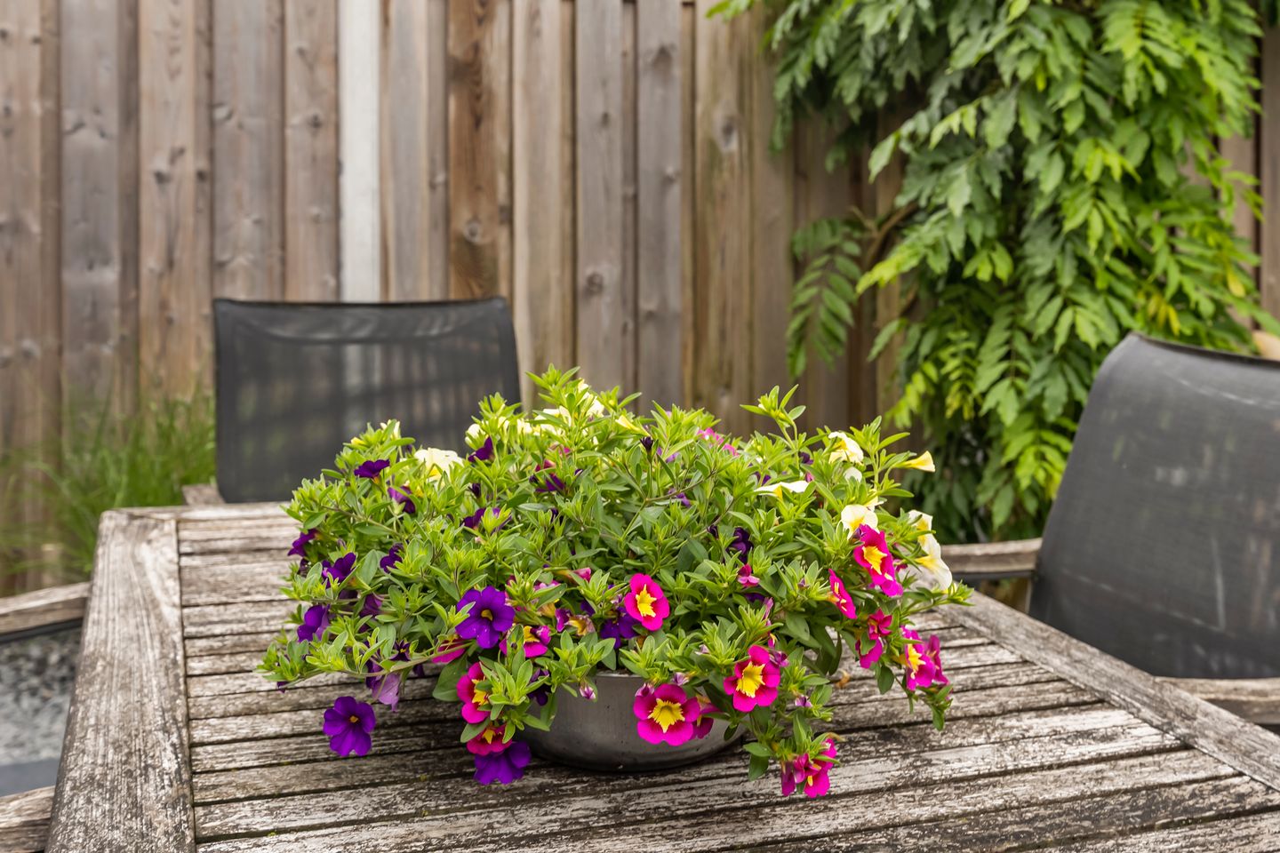 Foto 14 van Sergeant 42