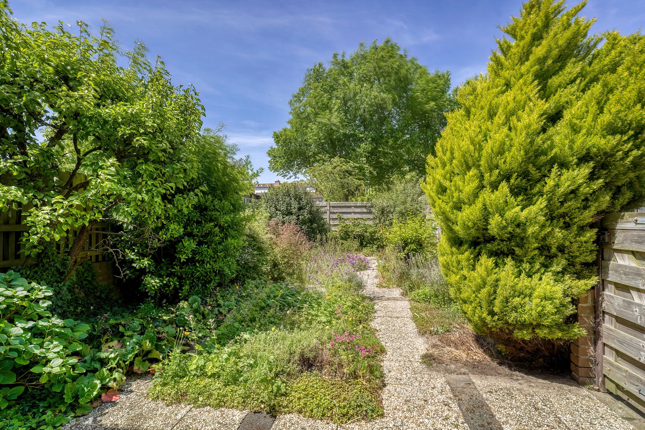 Foto 15 van Saturnus 50