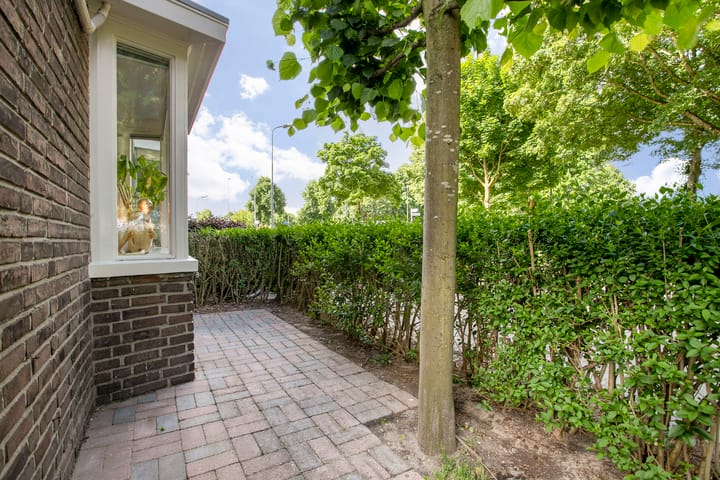 Foto 40 van Borneostraat 1