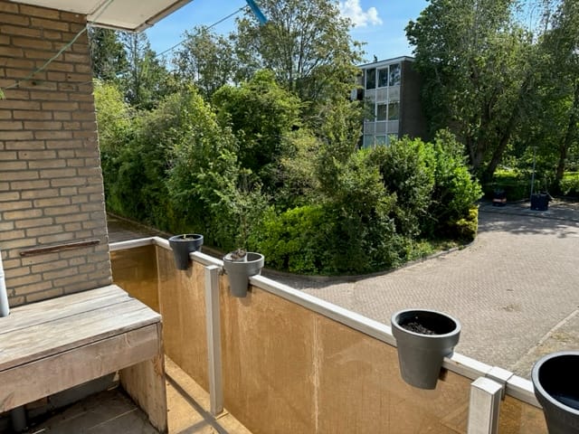 Foto 8 van Cornelis Pronklaan 179