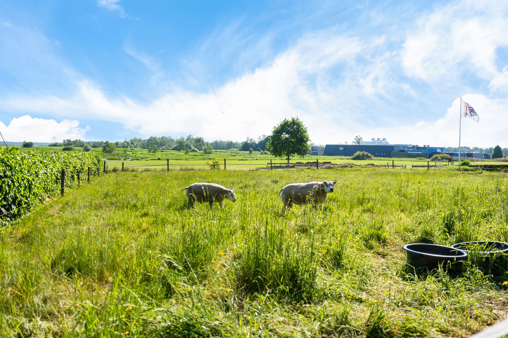 Foto 27 van Kloosterweg 47