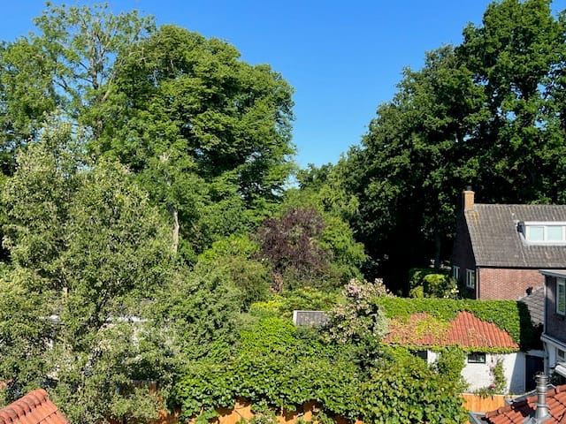 Foto 34 van Willem van Abcoudelaan 7