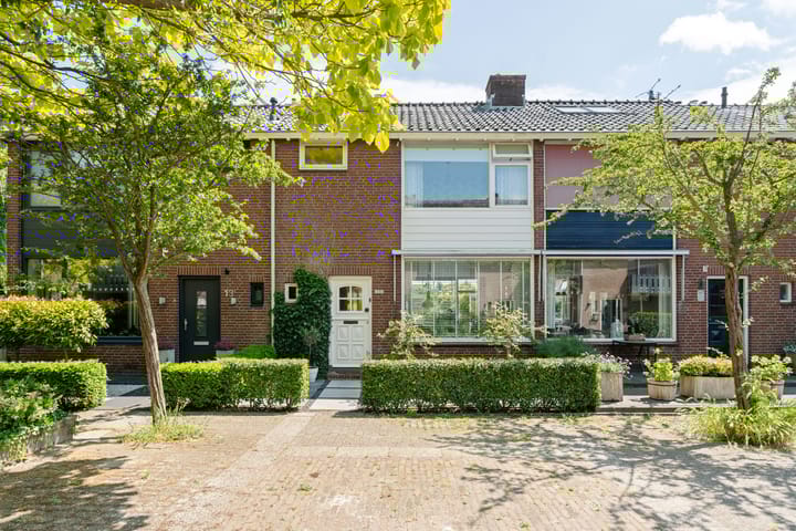 undefined main image