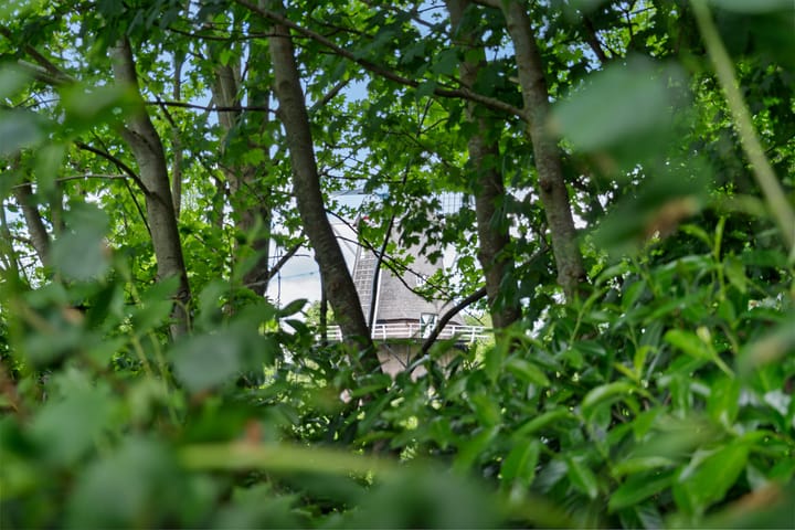 Foto 38 van Pannekoekendijk 7