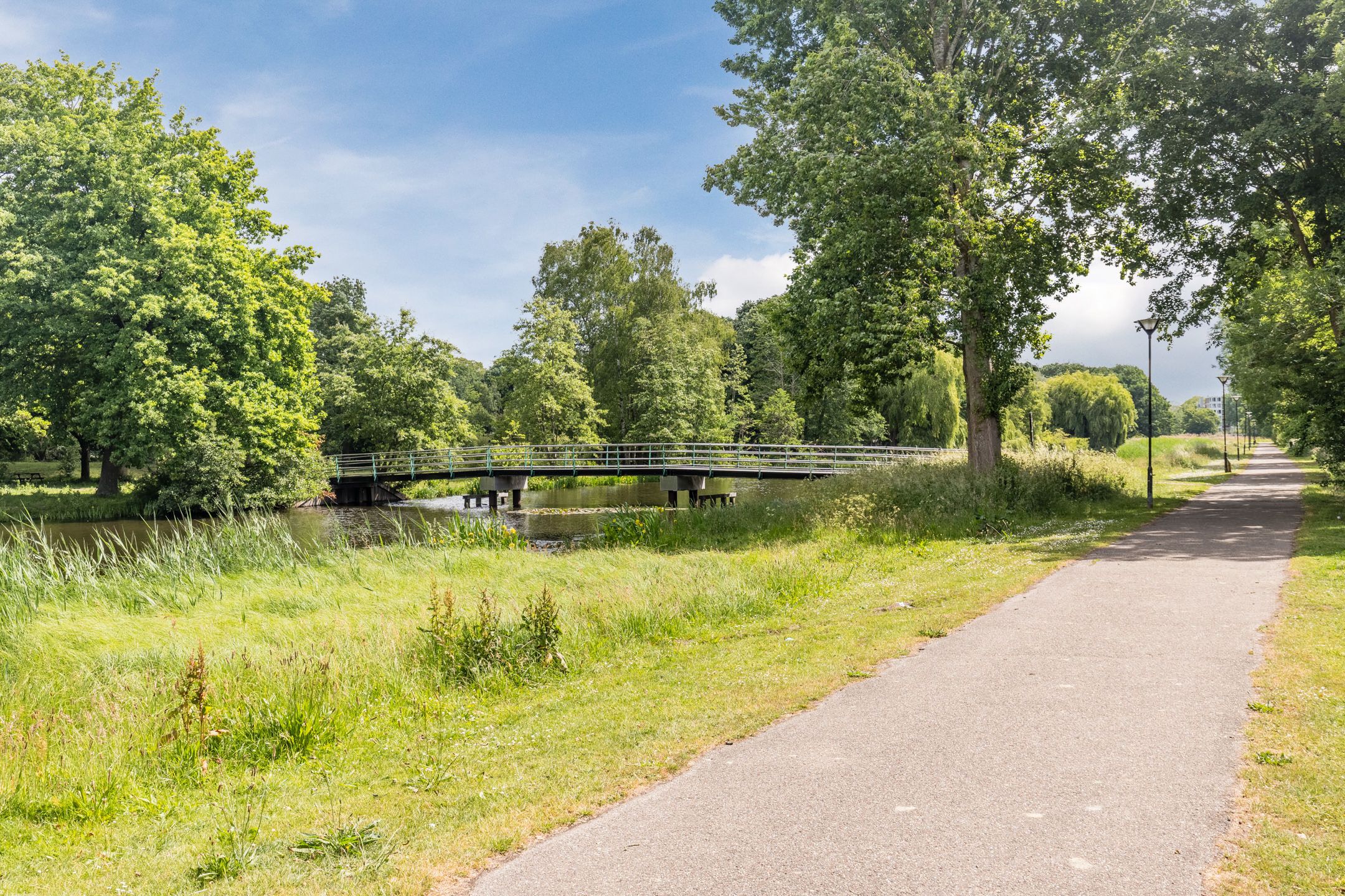 Foto 33 van Hobokenstraat 529