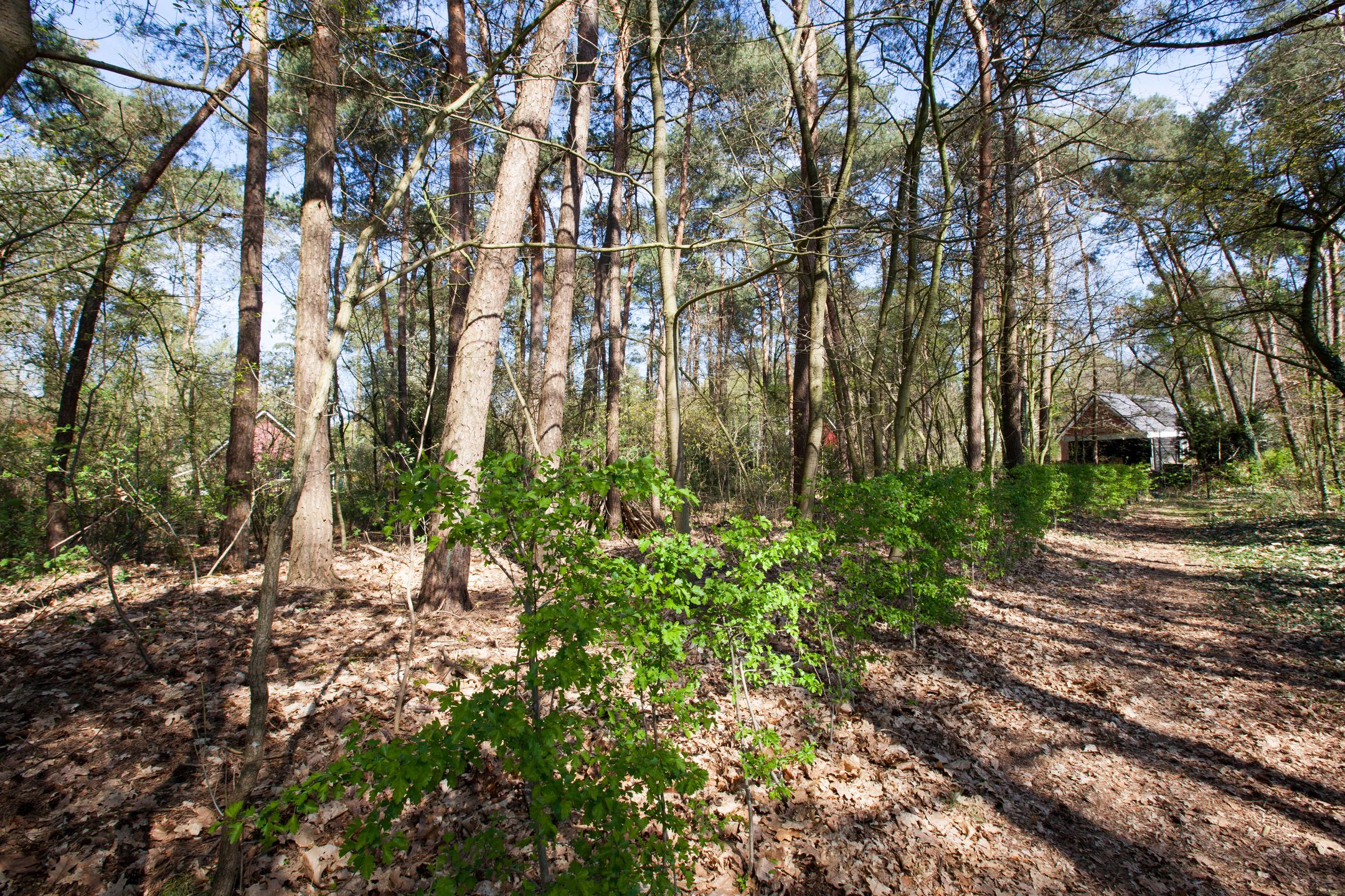 Photo 3 of Kattenbergweg bouwkavels plan Sylvestra